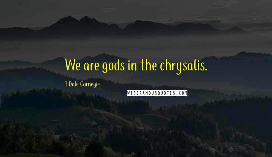 Dale Carnegie Quotes: We are gods in the chrysalis.
