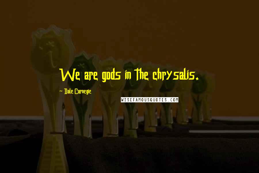 Dale Carnegie Quotes: We are gods in the chrysalis.