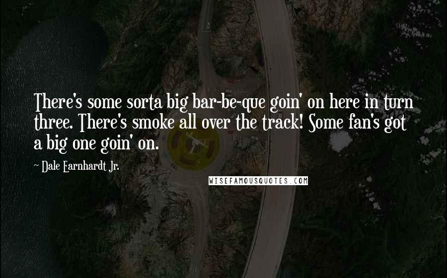 Dale Earnhardt Jr. Quotes: There's some sorta big bar-be-que goin' on here in turn three. There's smoke all over the track! Some fan's got a big one goin' on.