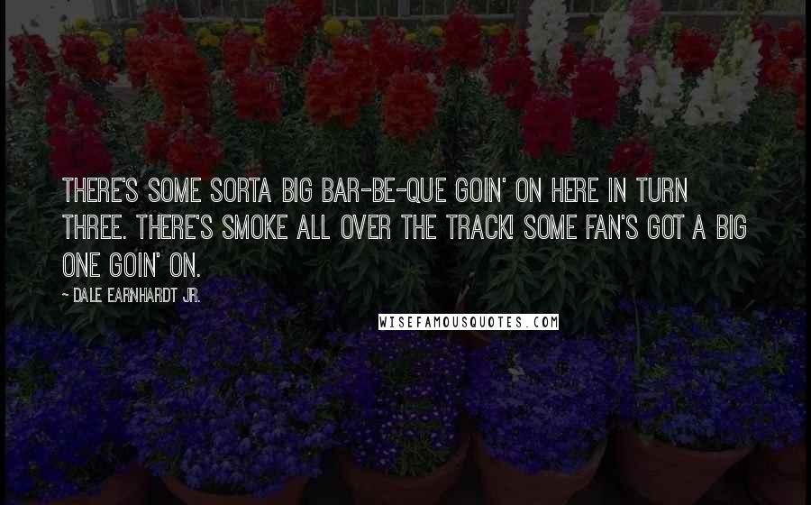 Dale Earnhardt Jr. Quotes: There's some sorta big bar-be-que goin' on here in turn three. There's smoke all over the track! Some fan's got a big one goin' on.