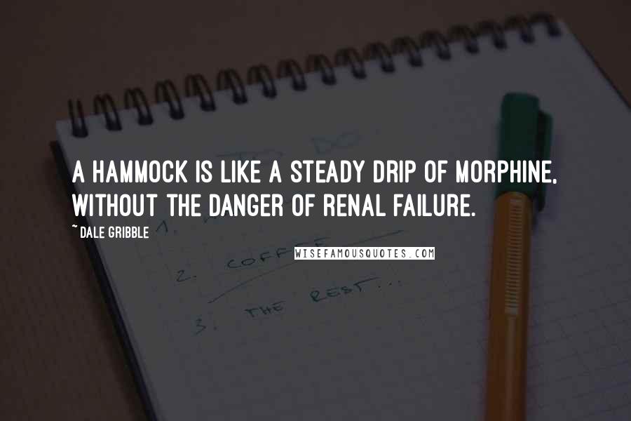 Dale Gribble Quotes: A hammock is like a steady drip of morphine, without the danger of renal failure.