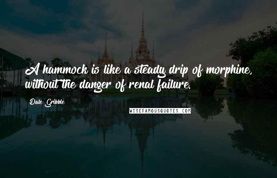 Dale Gribble Quotes: A hammock is like a steady drip of morphine, without the danger of renal failure.