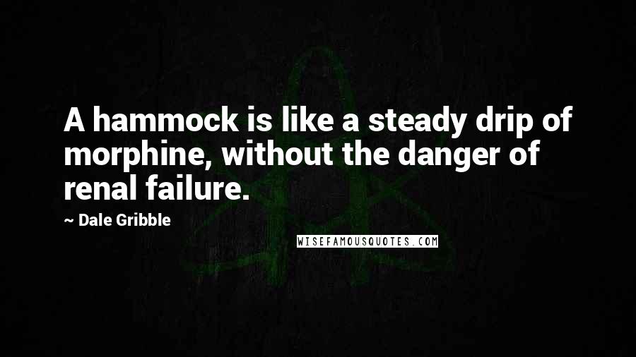 Dale Gribble Quotes: A hammock is like a steady drip of morphine, without the danger of renal failure.