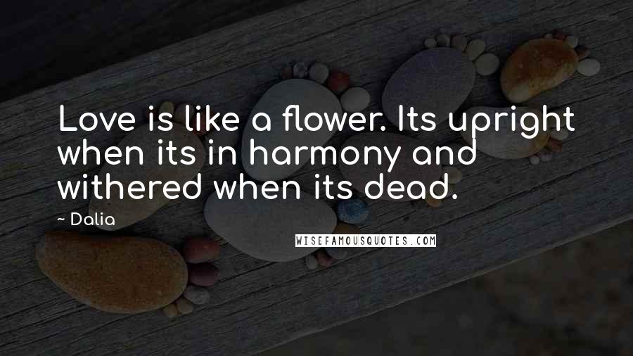 Dalia Quotes: Love is like a flower. Its upright when its in harmony and withered when its dead.