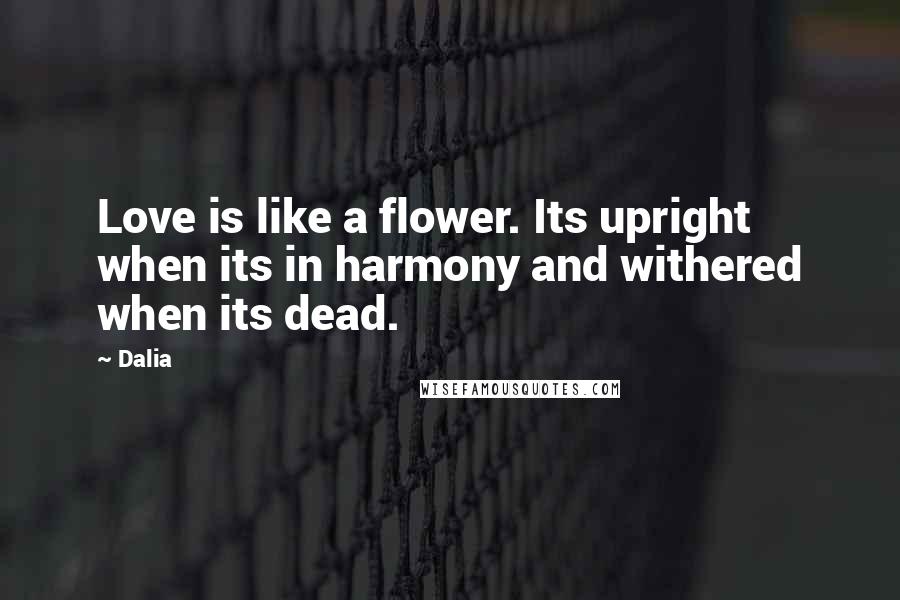 Dalia Quotes: Love is like a flower. Its upright when its in harmony and withered when its dead.