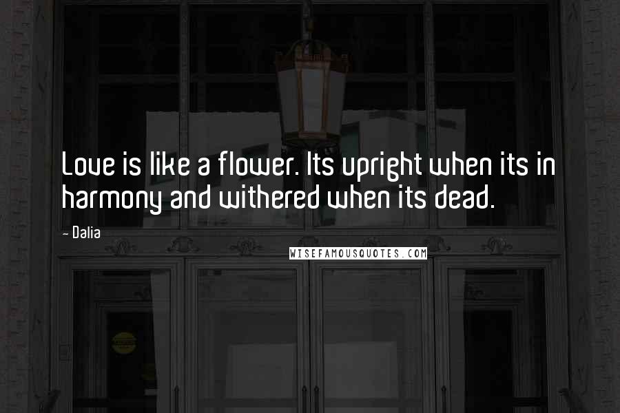 Dalia Quotes: Love is like a flower. Its upright when its in harmony and withered when its dead.