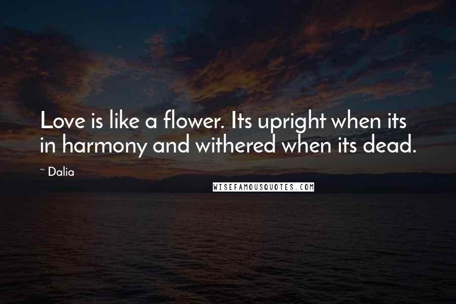 Dalia Quotes: Love is like a flower. Its upright when its in harmony and withered when its dead.