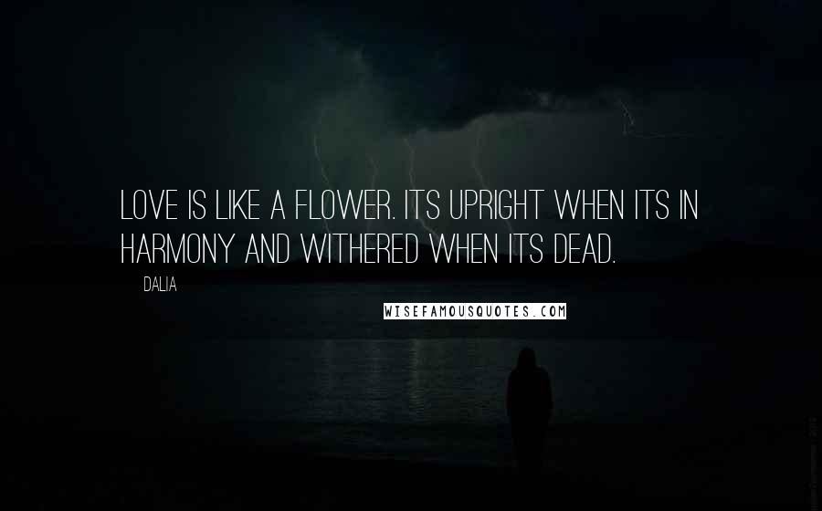 Dalia Quotes: Love is like a flower. Its upright when its in harmony and withered when its dead.