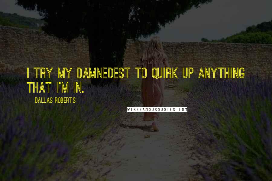 Dallas Roberts Quotes: I try my damnedest to quirk up anything that I'm in.