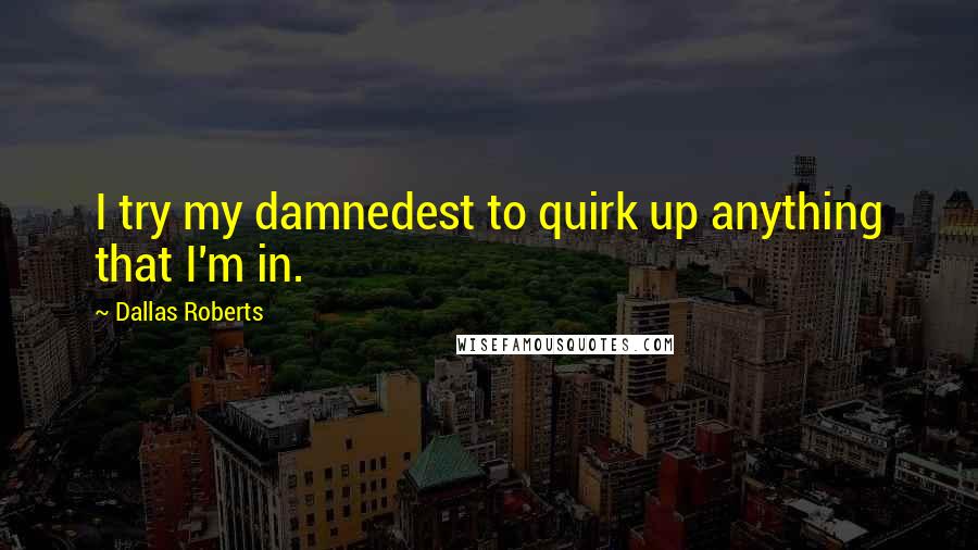 Dallas Roberts Quotes: I try my damnedest to quirk up anything that I'm in.