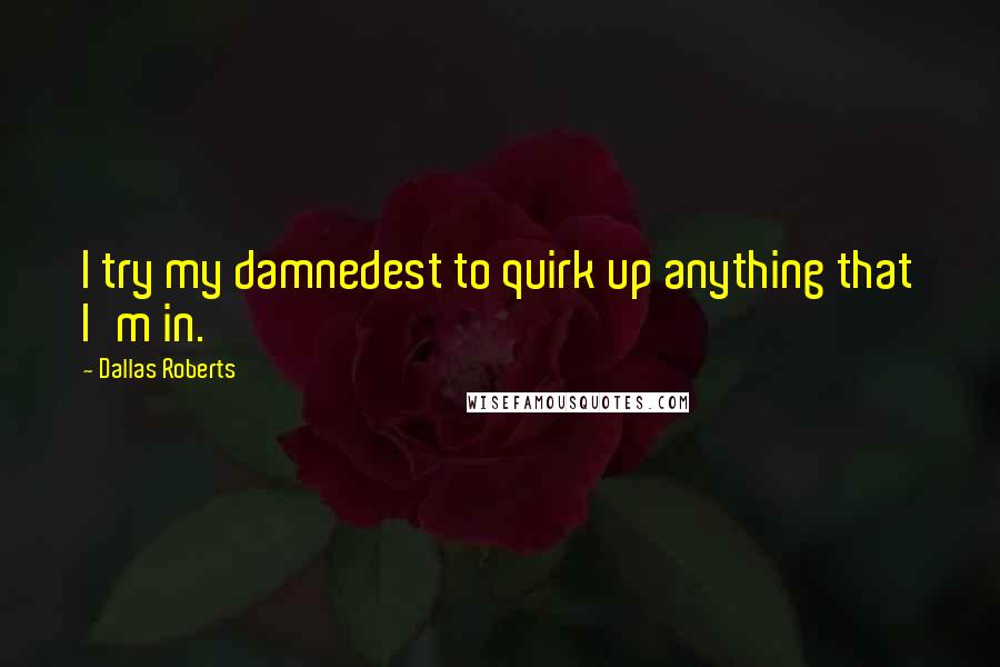 Dallas Roberts Quotes: I try my damnedest to quirk up anything that I'm in.