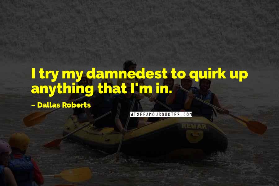 Dallas Roberts Quotes: I try my damnedest to quirk up anything that I'm in.