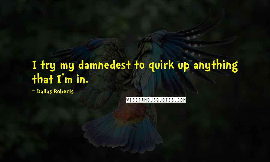 Dallas Roberts Quotes: I try my damnedest to quirk up anything that I'm in.