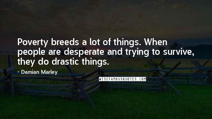 Damian Marley Quotes: Poverty breeds a lot of things. When people are desperate and trying to survive, they do drastic things.