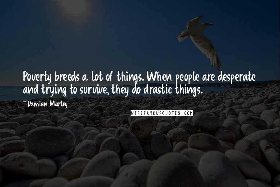 Damian Marley Quotes: Poverty breeds a lot of things. When people are desperate and trying to survive, they do drastic things.