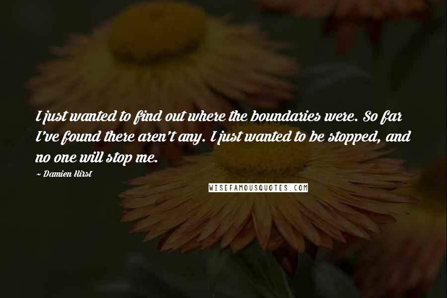 Damien Hirst Quotes: I just wanted to find out where the boundaries were. So far I've found there aren't any. I just wanted to be stopped, and no one will stop me.