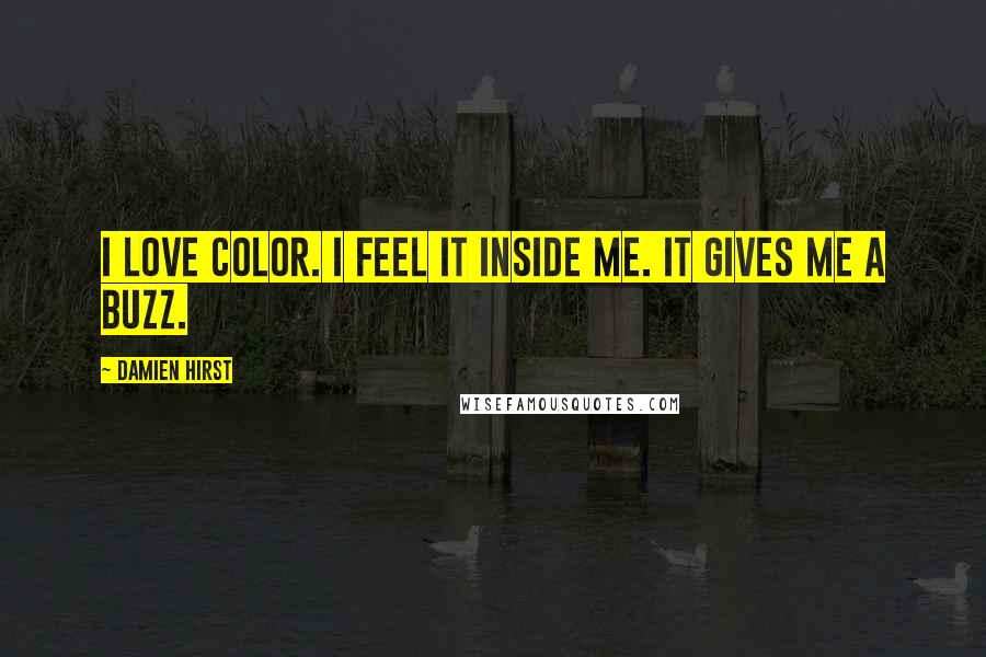 Damien Hirst Quotes: I love color. I feel it inside me. It gives me a buzz.