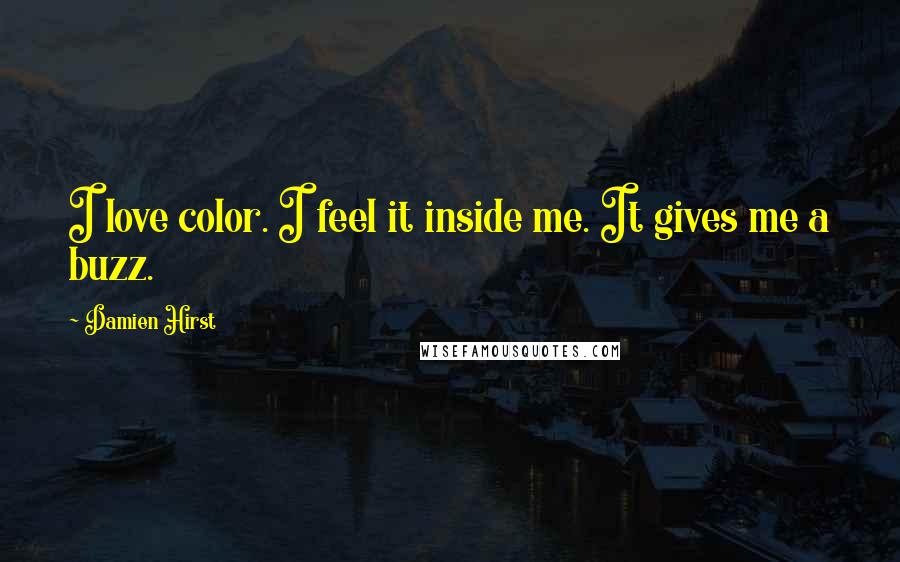 Damien Hirst Quotes: I love color. I feel it inside me. It gives me a buzz.