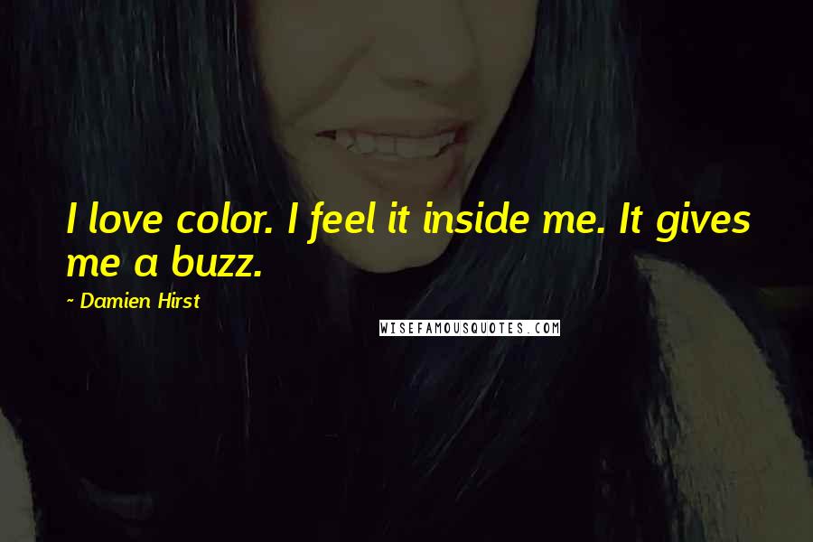 Damien Hirst Quotes: I love color. I feel it inside me. It gives me a buzz.