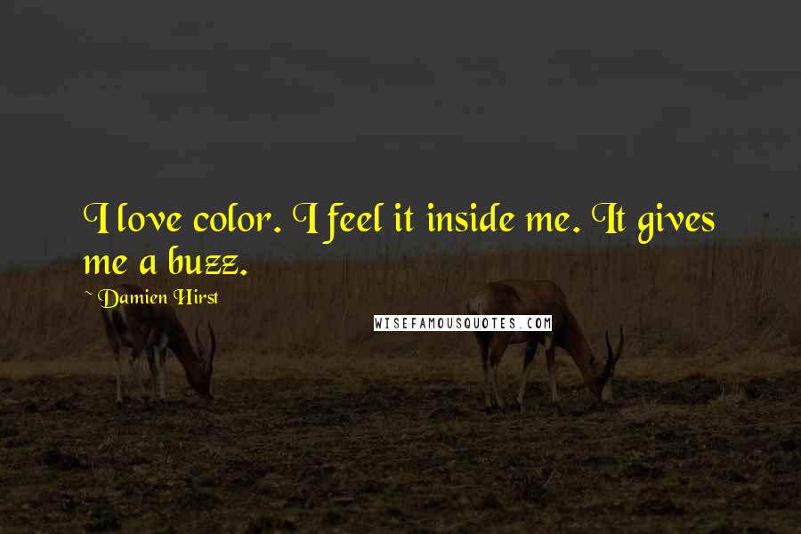 Damien Hirst Quotes: I love color. I feel it inside me. It gives me a buzz.