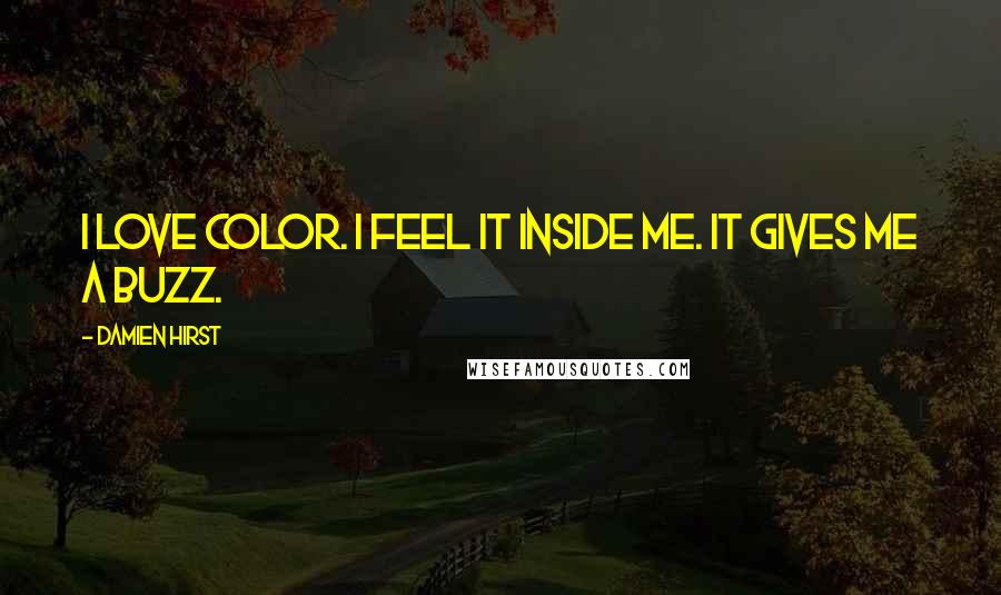 Damien Hirst Quotes: I love color. I feel it inside me. It gives me a buzz.