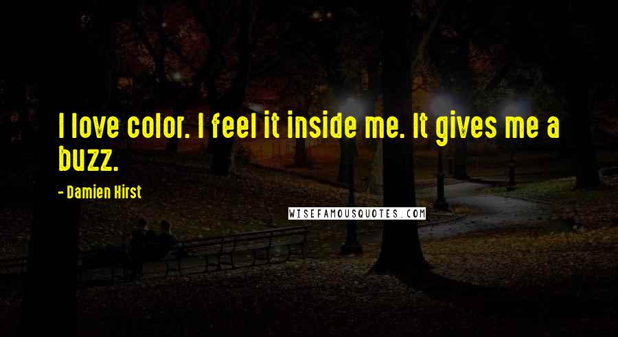 Damien Hirst Quotes: I love color. I feel it inside me. It gives me a buzz.