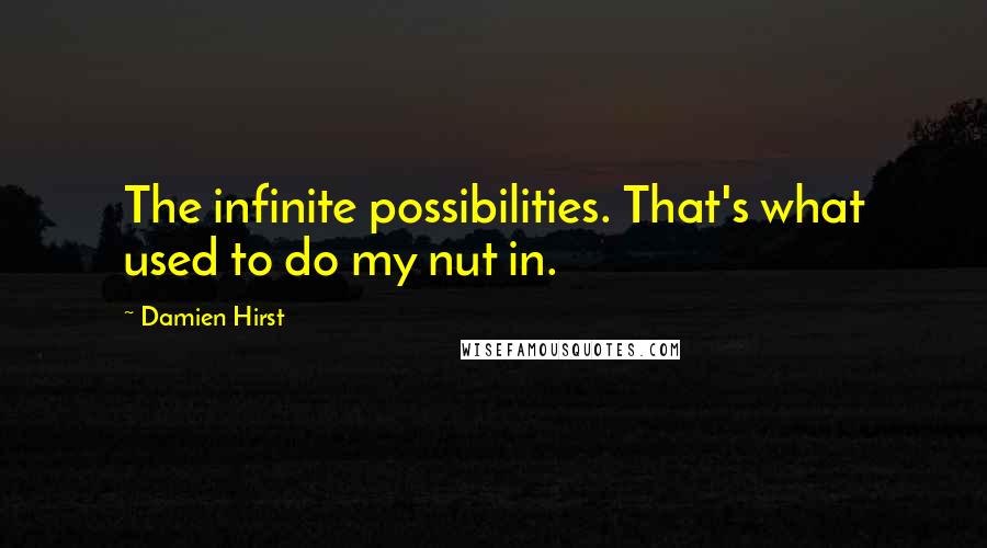 Damien Hirst Quotes: The infinite possibilities. That's what used to do my nut in.