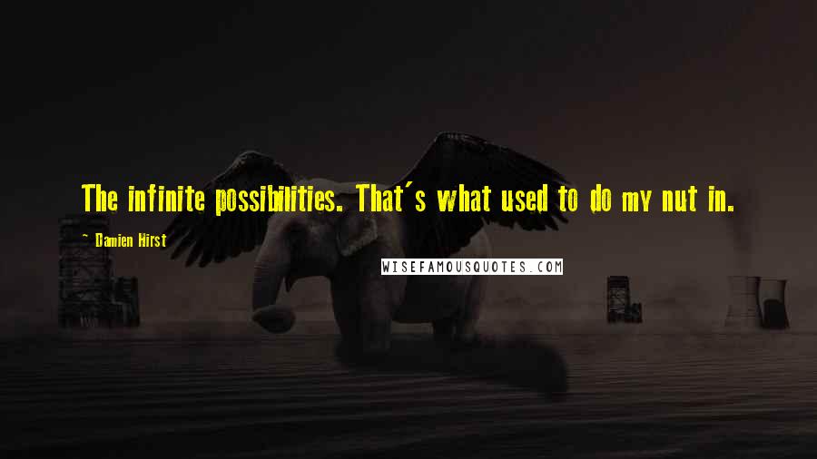 Damien Hirst Quotes: The infinite possibilities. That's what used to do my nut in.