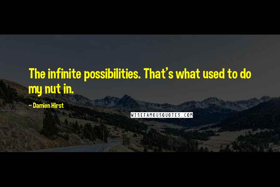 Damien Hirst Quotes: The infinite possibilities. That's what used to do my nut in.