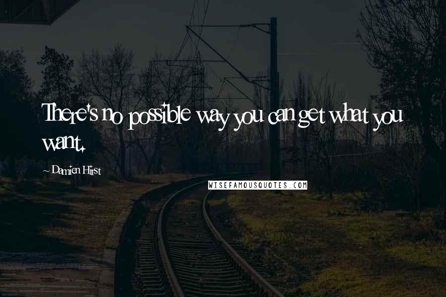 Damien Hirst Quotes: There's no possible way you can get what you want.