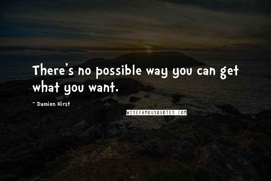 Damien Hirst Quotes: There's no possible way you can get what you want.