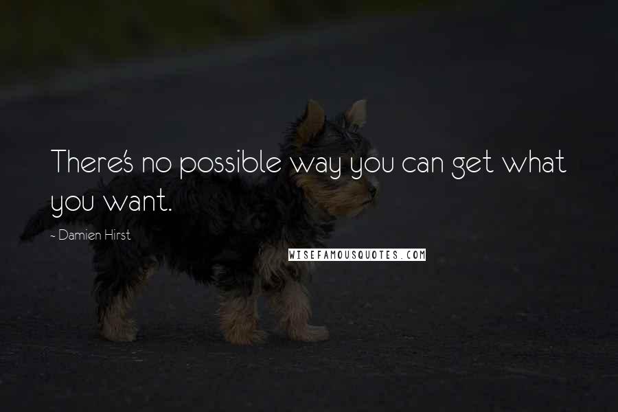 Damien Hirst Quotes: There's no possible way you can get what you want.