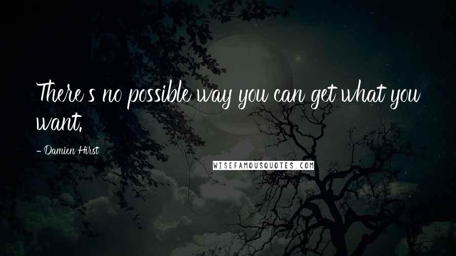 Damien Hirst Quotes: There's no possible way you can get what you want.