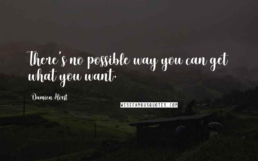 Damien Hirst Quotes: There's no possible way you can get what you want.