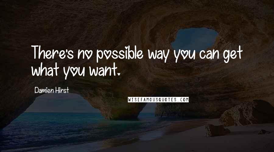 Damien Hirst Quotes: There's no possible way you can get what you want.