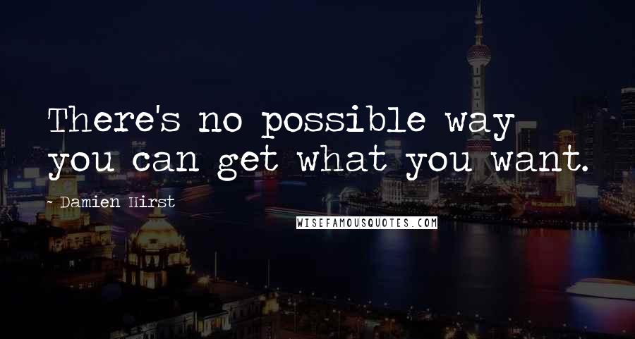 Damien Hirst Quotes: There's no possible way you can get what you want.