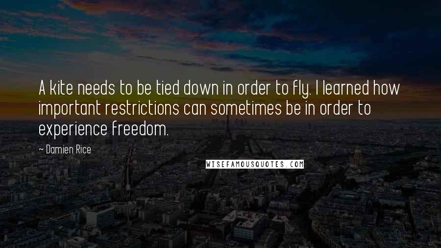 Damien Rice Quotes: A kite needs to be tied down in order to fly. I learned how important restrictions can sometimes be in order to experience freedom.