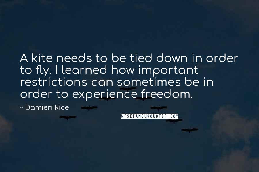 Damien Rice Quotes: A kite needs to be tied down in order to fly. I learned how important restrictions can sometimes be in order to experience freedom.