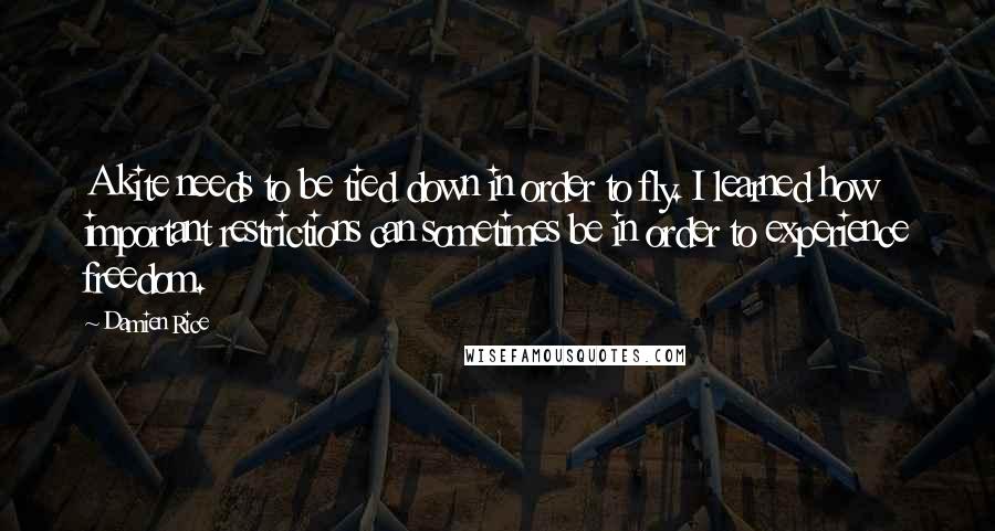 Damien Rice Quotes: A kite needs to be tied down in order to fly. I learned how important restrictions can sometimes be in order to experience freedom.