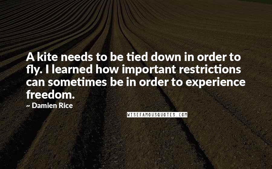 Damien Rice Quotes: A kite needs to be tied down in order to fly. I learned how important restrictions can sometimes be in order to experience freedom.