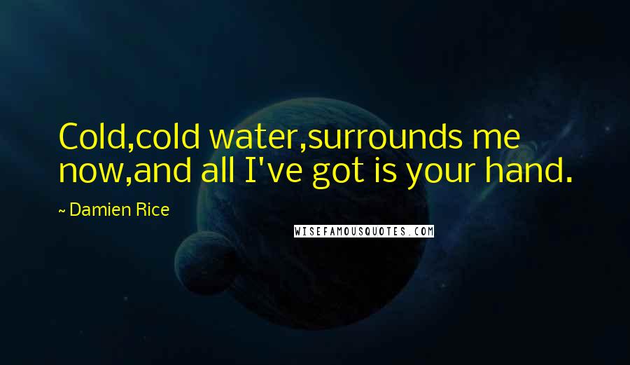 Damien Rice Quotes: Cold,cold water,surrounds me now,and all I've got is your hand.