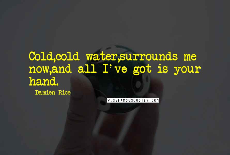 Damien Rice Quotes: Cold,cold water,surrounds me now,and all I've got is your hand.