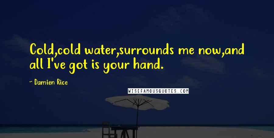 Damien Rice Quotes: Cold,cold water,surrounds me now,and all I've got is your hand.