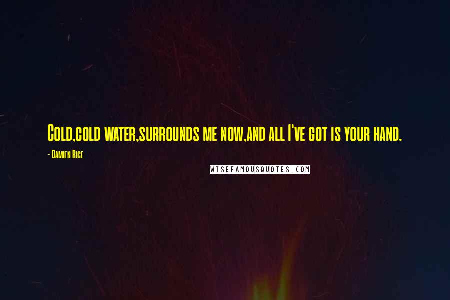 Damien Rice Quotes: Cold,cold water,surrounds me now,and all I've got is your hand.