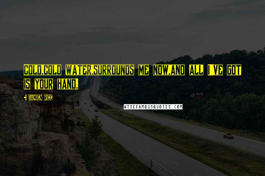 Damien Rice Quotes: Cold,cold water,surrounds me now,and all I've got is your hand.