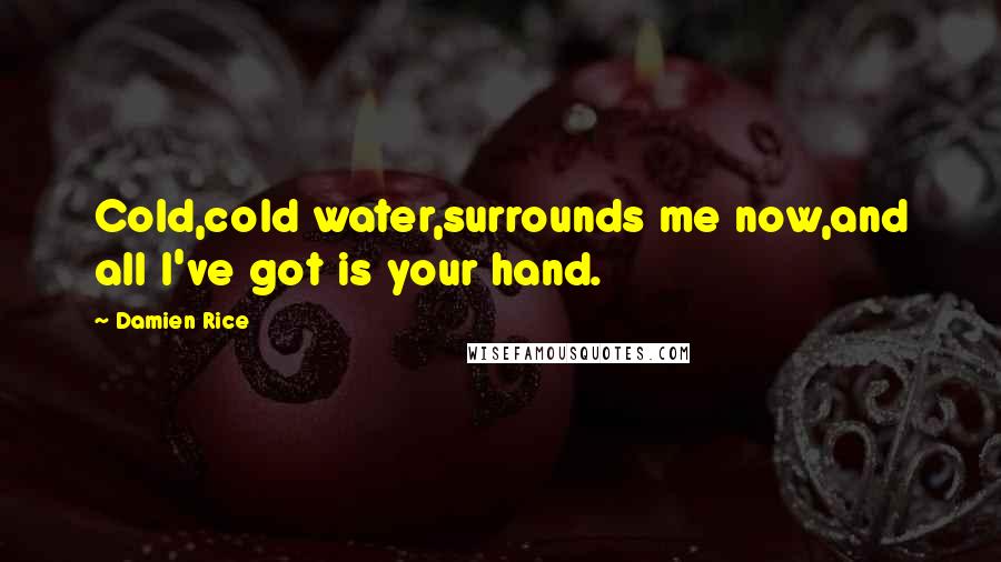 Damien Rice Quotes: Cold,cold water,surrounds me now,and all I've got is your hand.