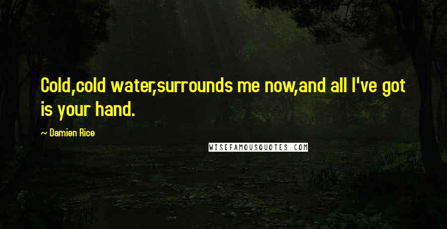 Damien Rice Quotes: Cold,cold water,surrounds me now,and all I've got is your hand.