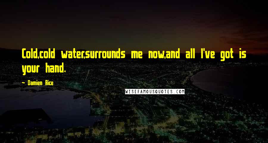 Damien Rice Quotes: Cold,cold water,surrounds me now,and all I've got is your hand.