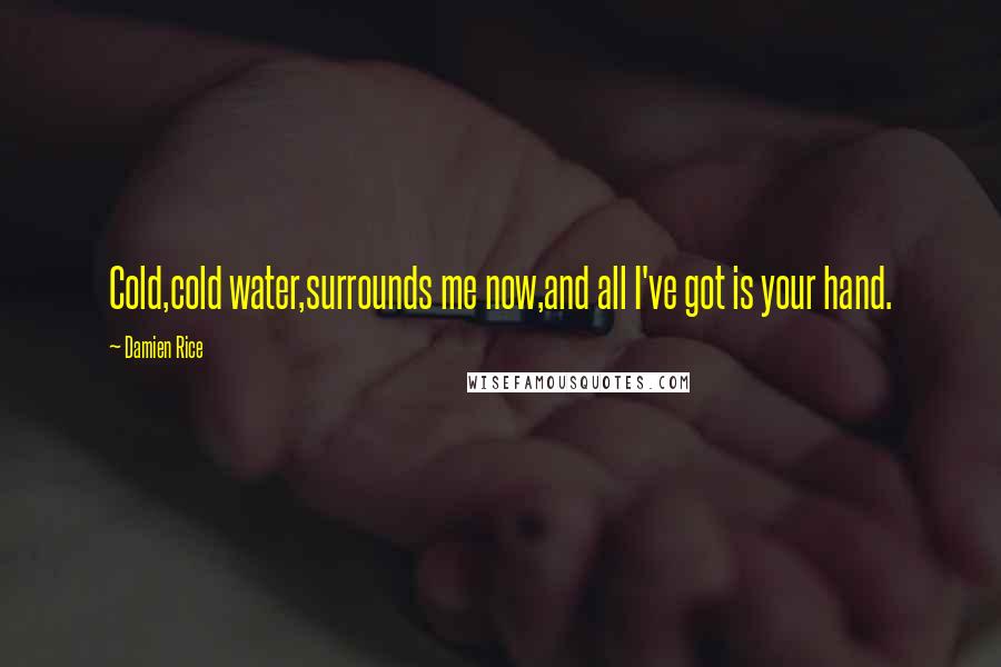 Damien Rice Quotes: Cold,cold water,surrounds me now,and all I've got is your hand.