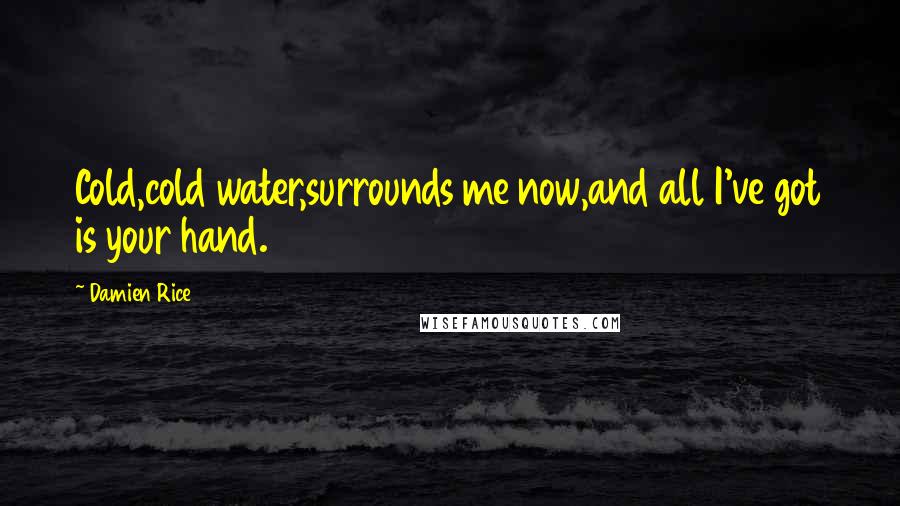 Damien Rice Quotes: Cold,cold water,surrounds me now,and all I've got is your hand.